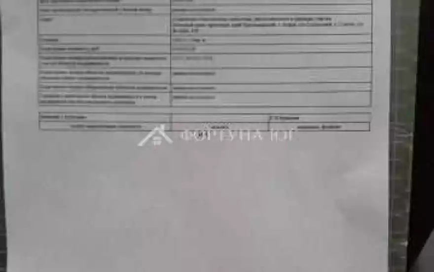 улица Дружбы