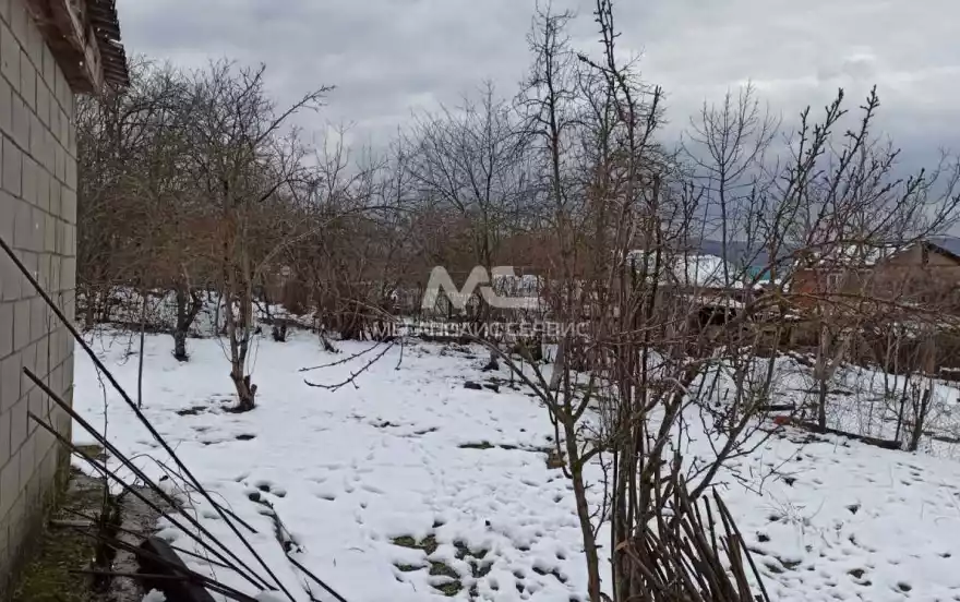 Берёзовая улица