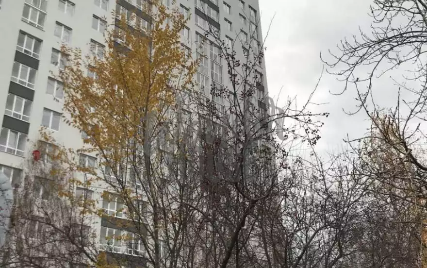 Ветеранов Труда улица, 11к3
