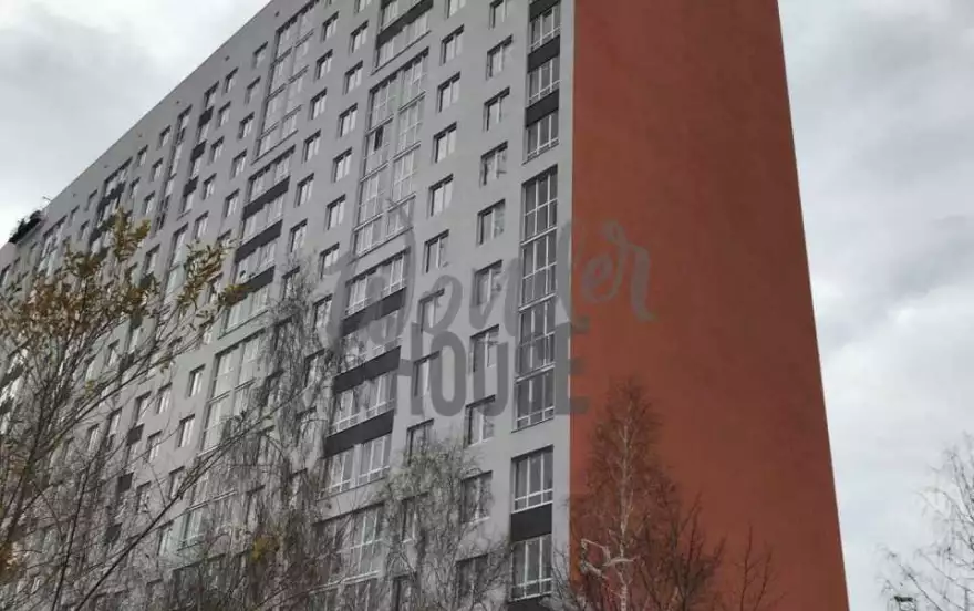 Ветеранов Труда улица, 11к3