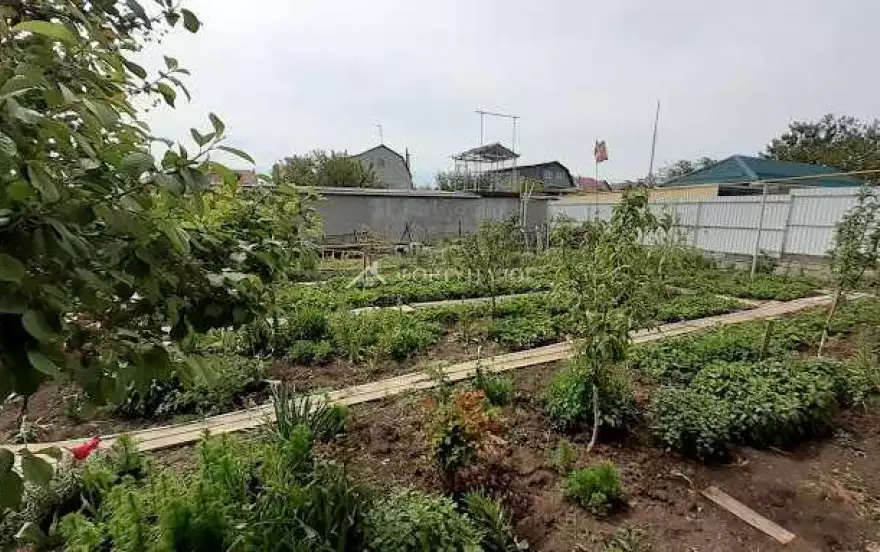 Ореховая улица