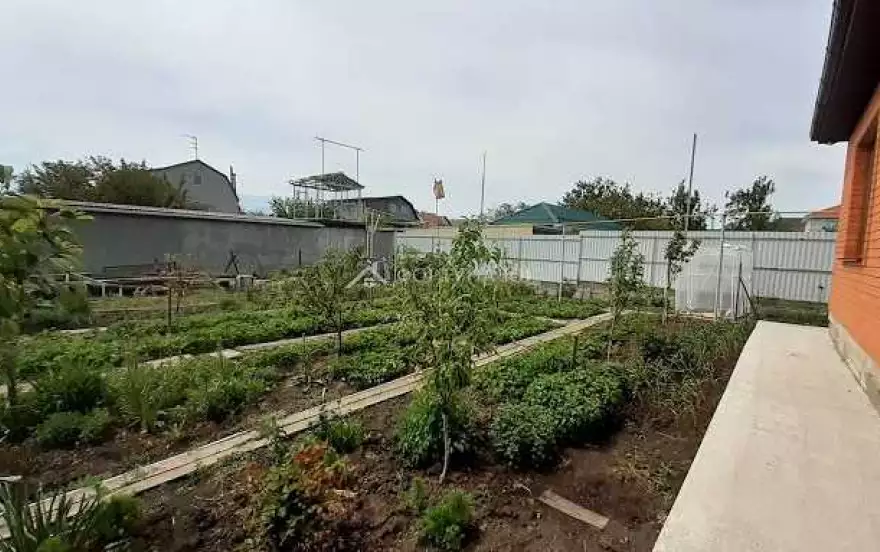 Ореховая улица