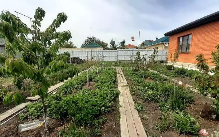 Ореховая улица