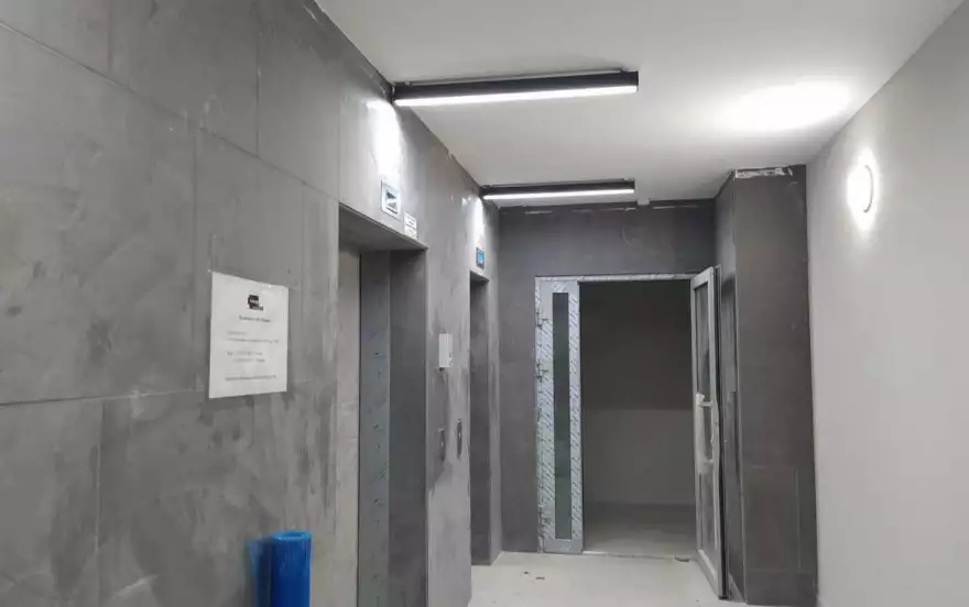 Фиалка жк