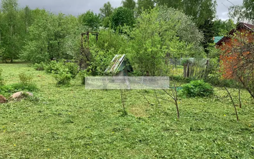 Мира улица
