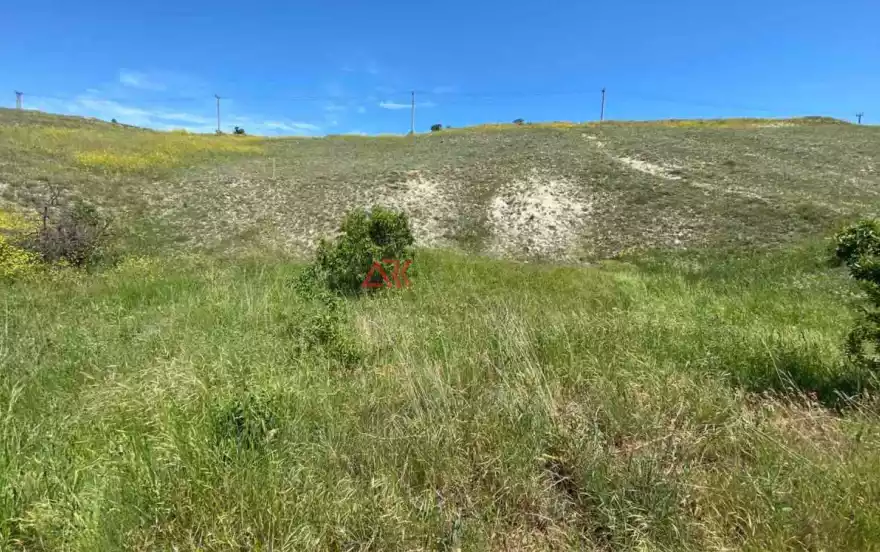 Корабельный пер