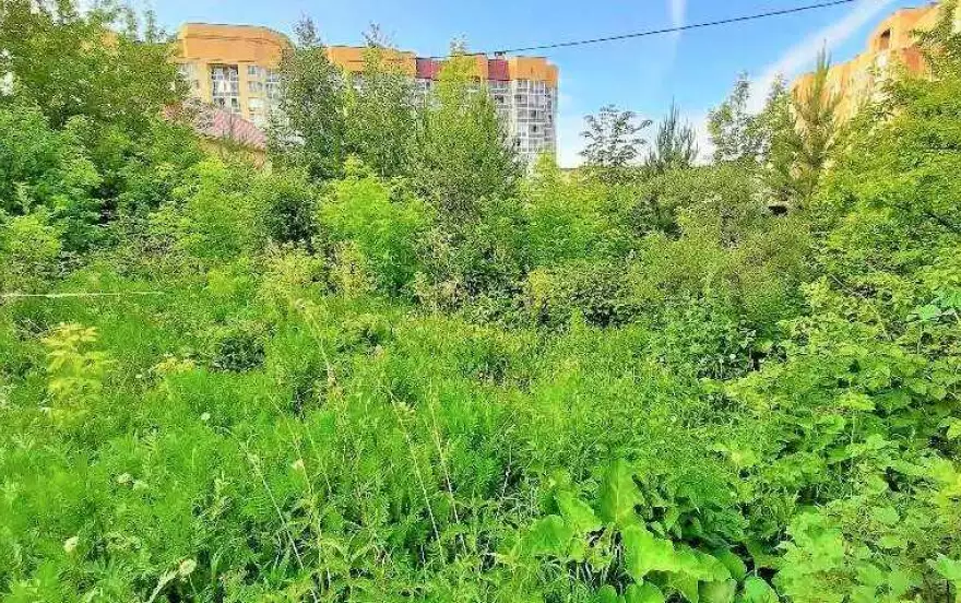 Рощинская улица, 66