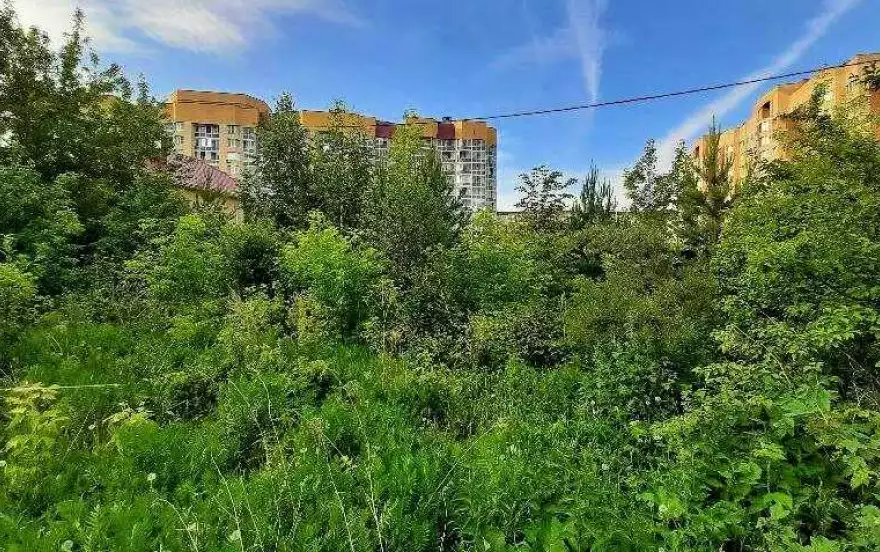 Рощинская улица, 66