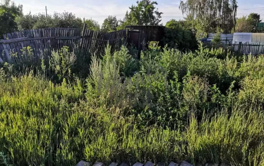 5-я Линейная улица