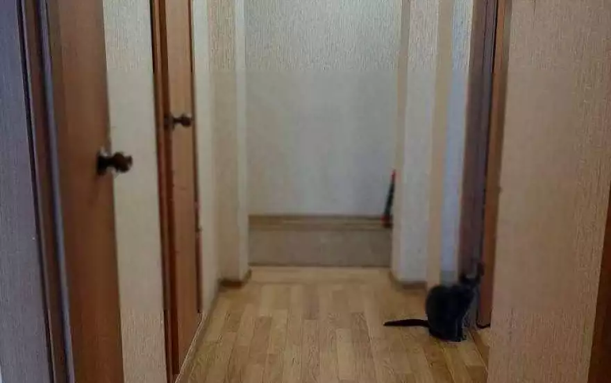проспект Молодежный, 31