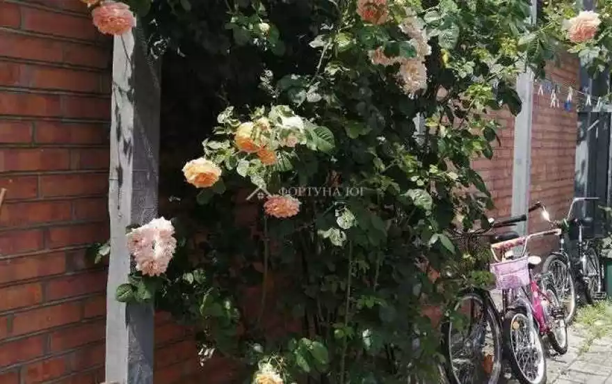 ул Красноармейская