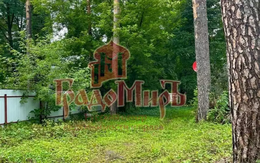 Зелёная улица, 6