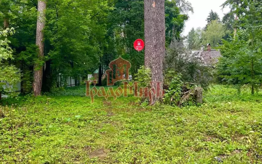Зелёная улица, 6