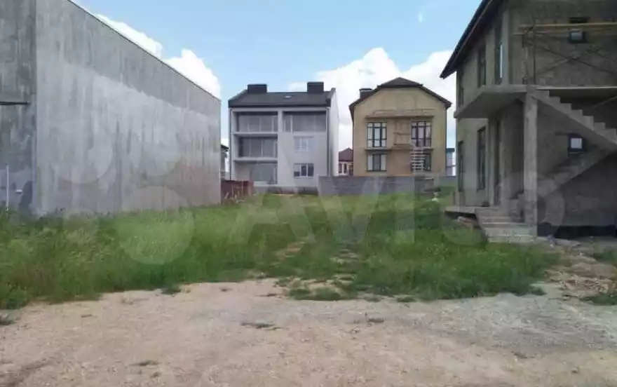 Пальмовая улица