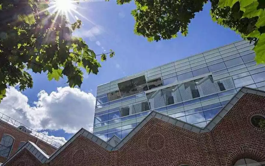 Тимура Фрунзе улица