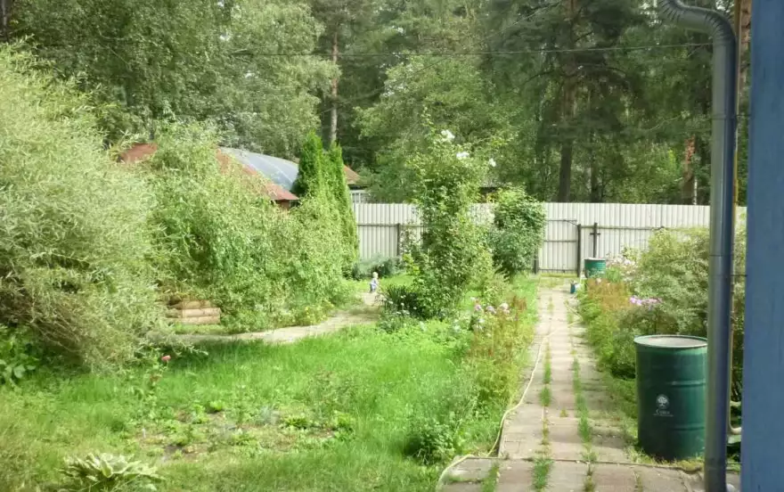 Толстого улица, 15