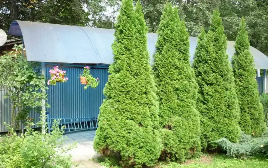 Толстого улица, 15