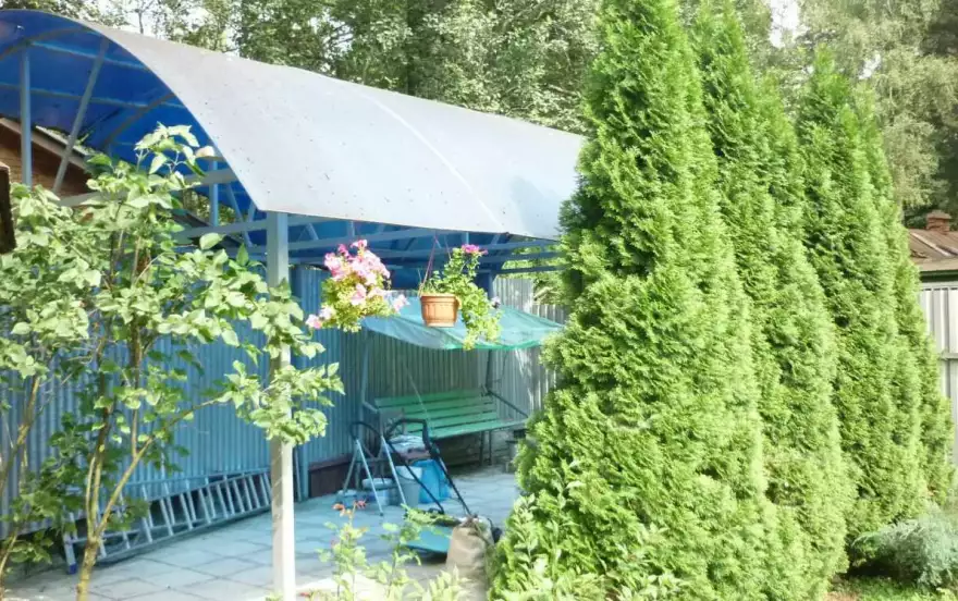 Толстого улица, 15