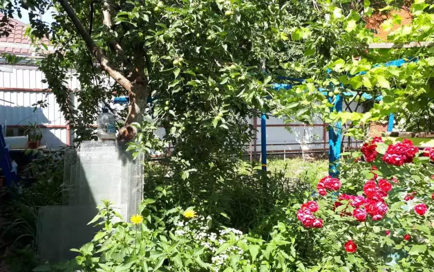 Базовская улица