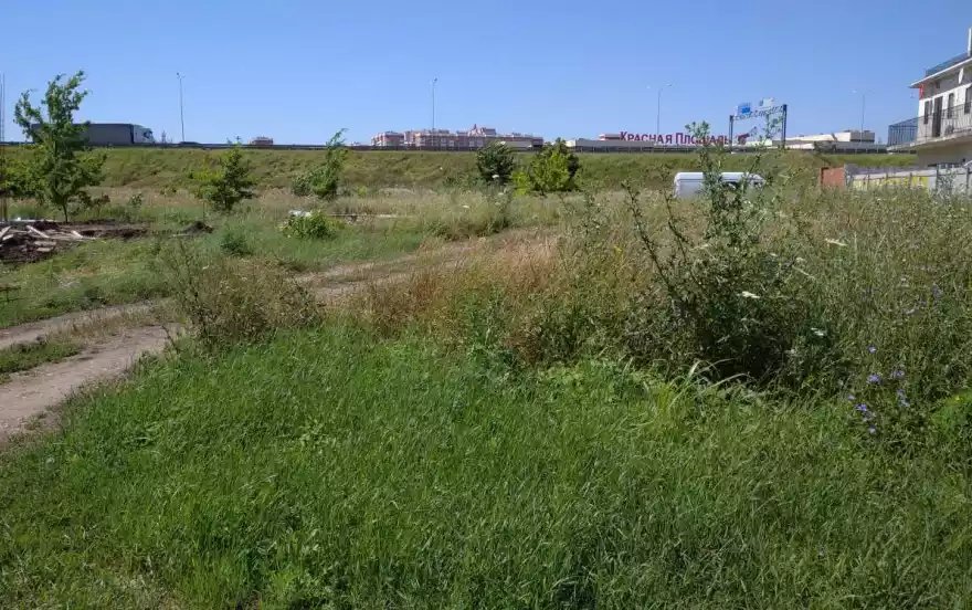 Спасская улица