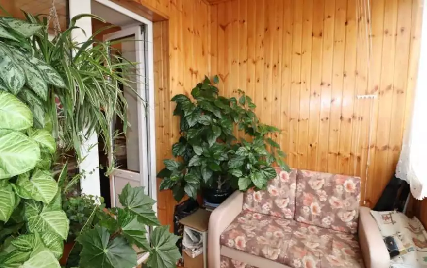 Центральная улица, 8