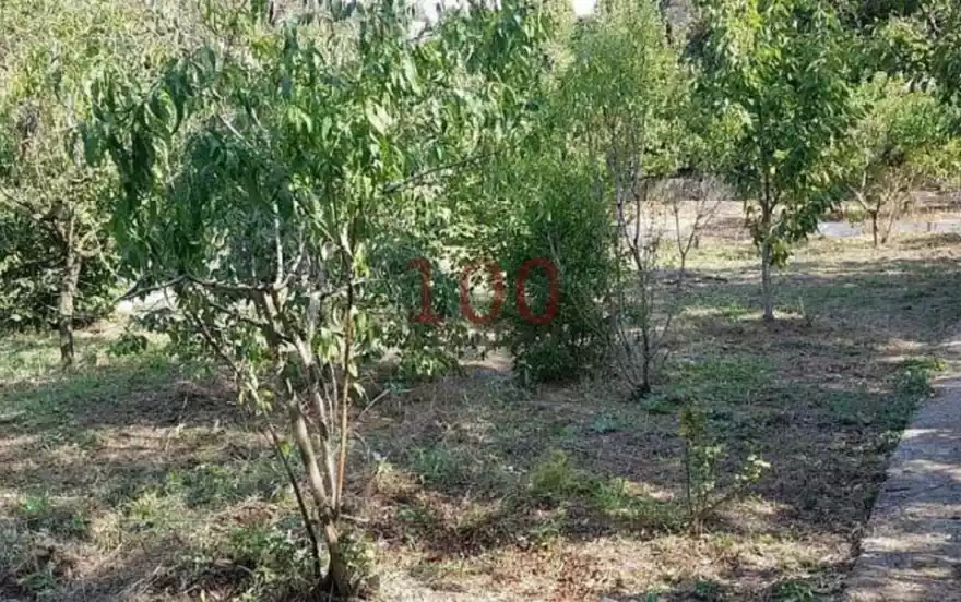 дачный массив Новозбурьевка