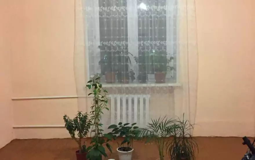 Энергетиков улица, д.65