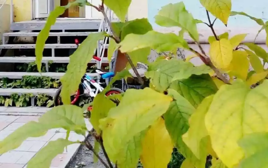 Ленинградский проспект, 57