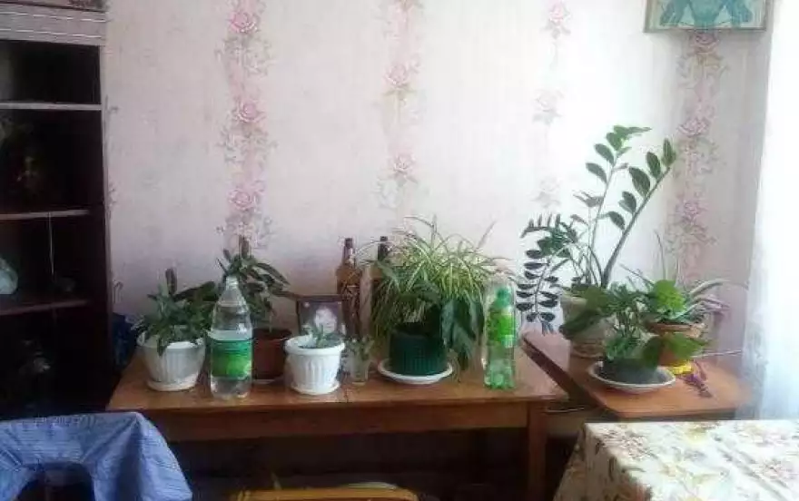 50 лет, 6
