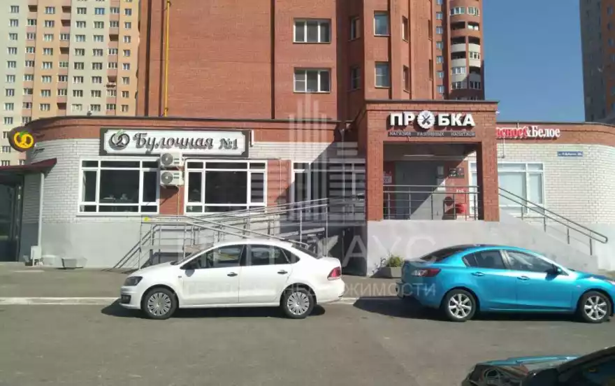 Нижняя Дуброва ул., 48