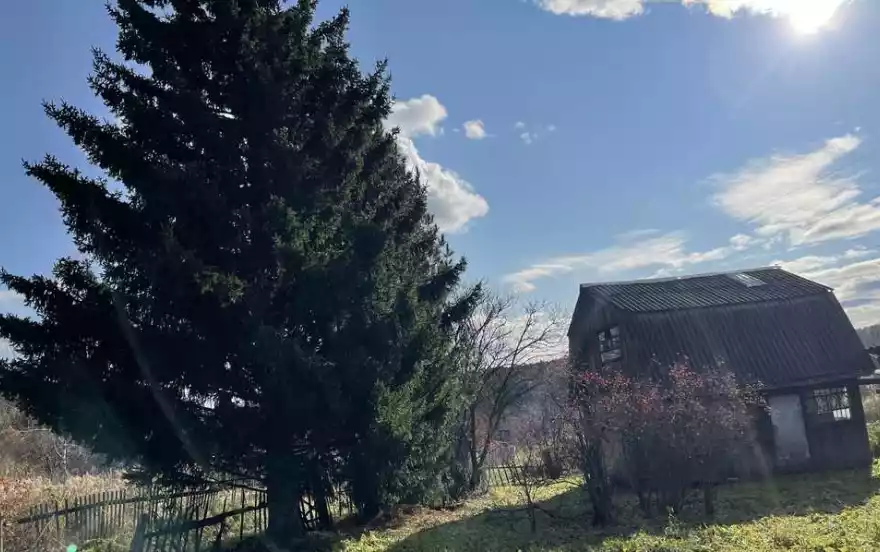 деревня Лоскутово