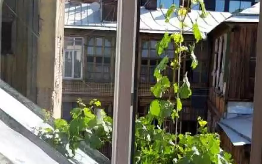 улица Георгия Ахвледиани, 14