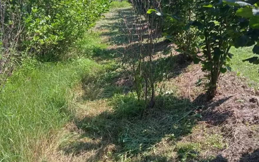 улица Гергети