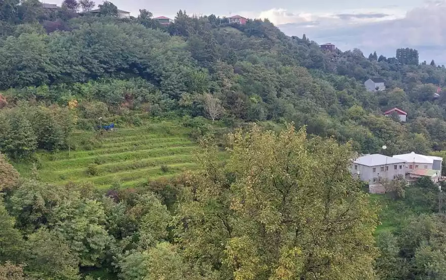 деревня Дасахлеба