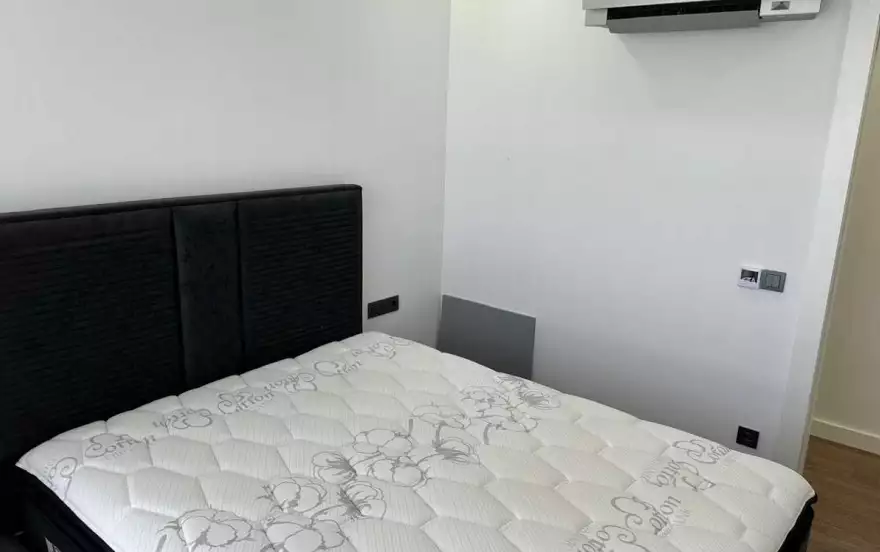 შოთა რუსთაველის 4