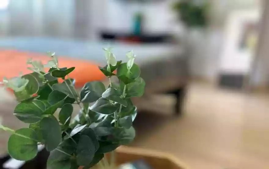 проспект Победы, 230