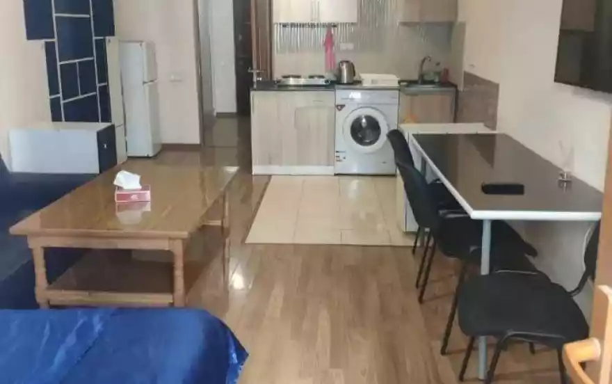 ул. Аргишти, 17