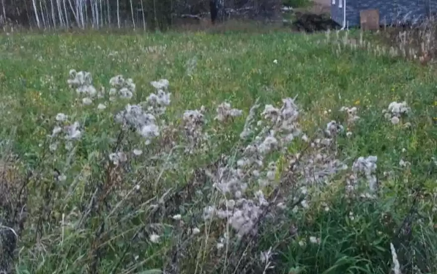 Емельяновский район, Поселок Минино, ул. Звездная, 10