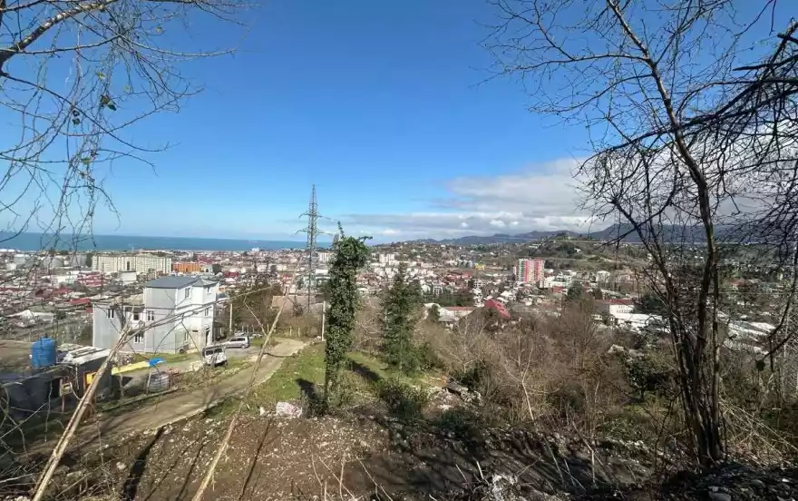 სერგეი მესხის ქუჩა 12