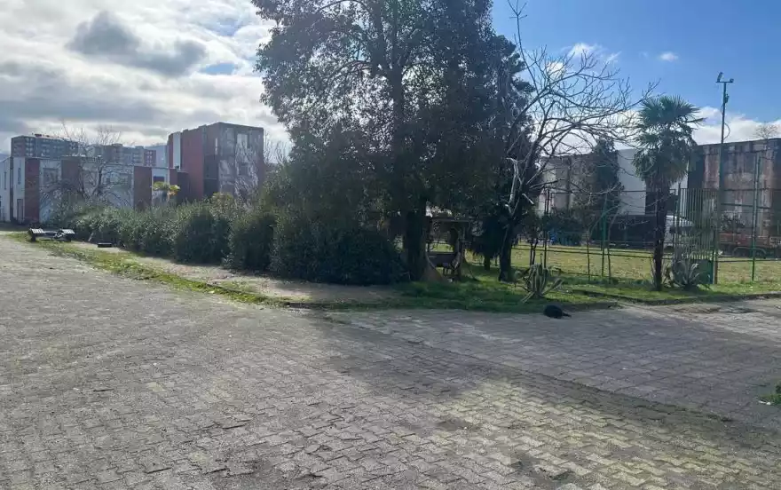 ი. ნონეშვილის 67