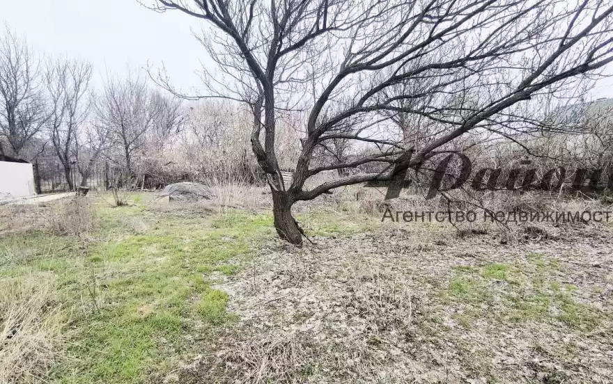 село веселая тарасовка, ул. Советская