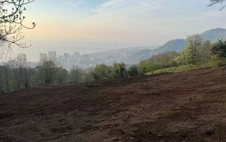 გონიოს დასახლება