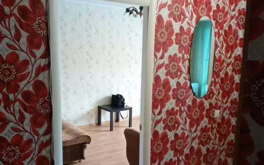 Елизаровых ул, 48/9