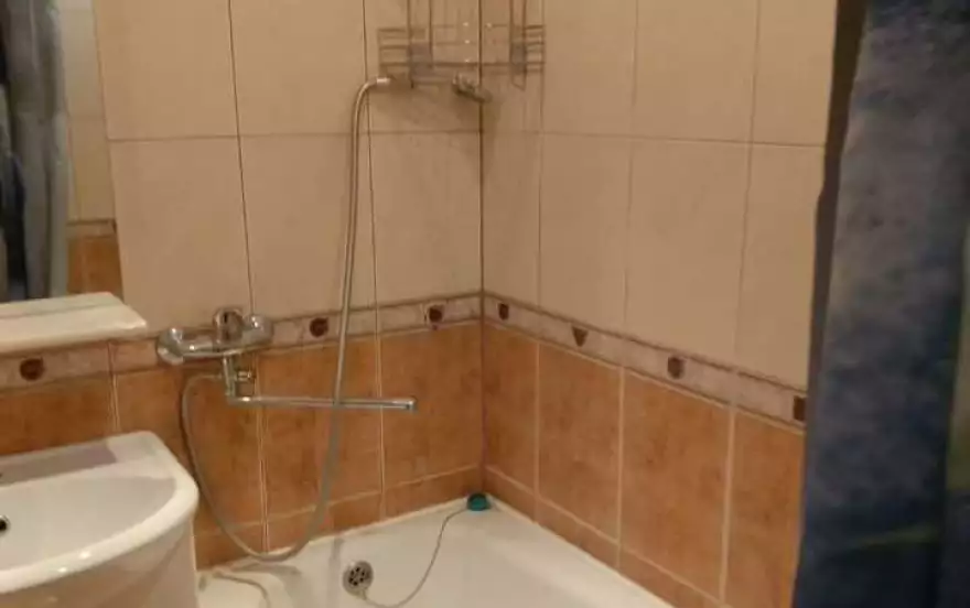 Елизаровых ул, 48/9