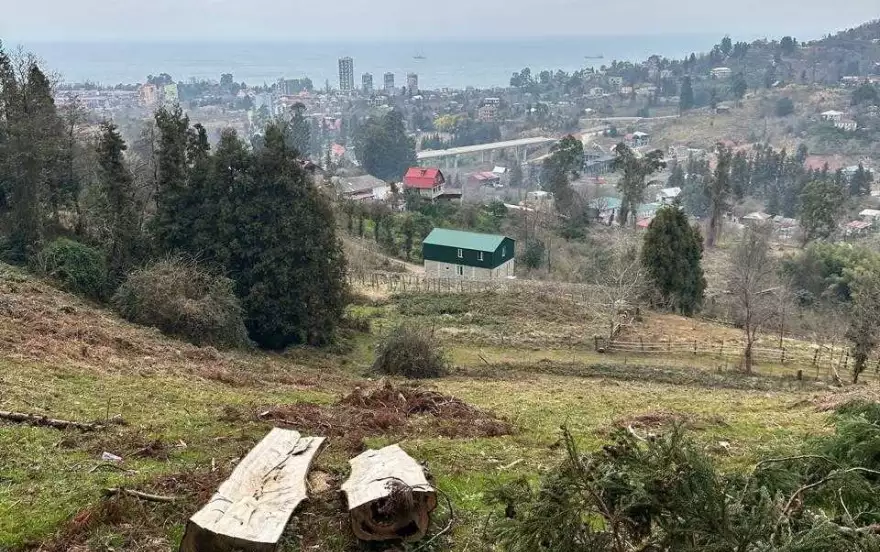 განთიადის 1