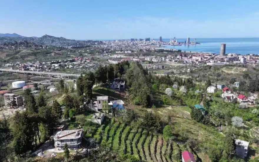 განთიადის 1