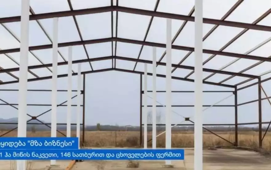 კოპიტნარი 1