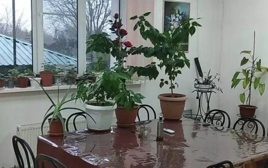 переулок Ореховый, 12 